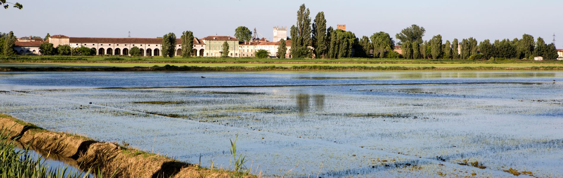 Paesaggio risicolo e Corte Granda